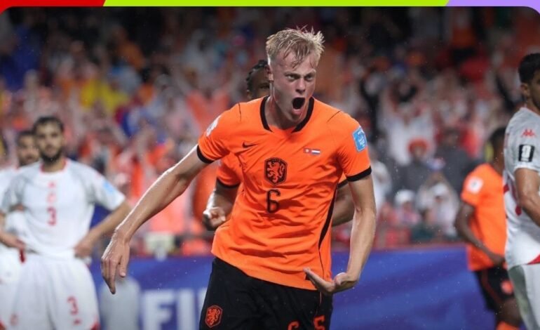 World Cup: Japan, Sweden draw as Netherlands beat Tunisia to advance to knockout stage