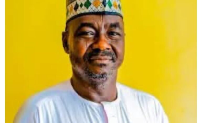 APC retains Kebbi Assembly seat as Aiki wins Zuru bye-election