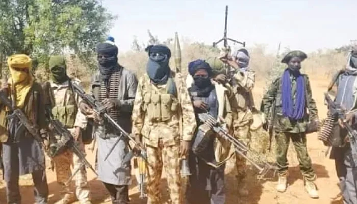 271 children among 484 displaced in fresh Zamfara bandit attack — IOM