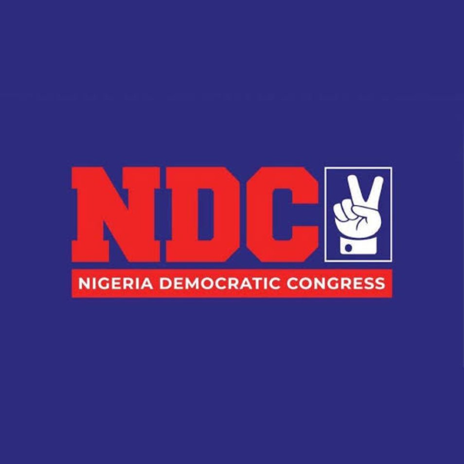 INEC denied us access code for candidates’ nomination – NDC
