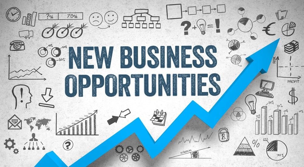 Understanding Estimates And Quotes In Modern Business Operations
