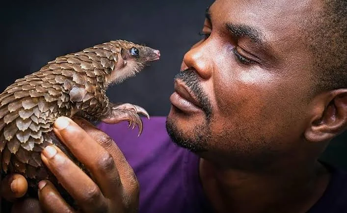 Wildlife expert seeks snake protection laws to curb Lassa fever
