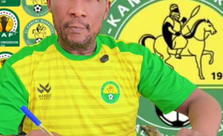 NNL: El-Kanemi Warriors appoint Emmanuel King as technical adviser