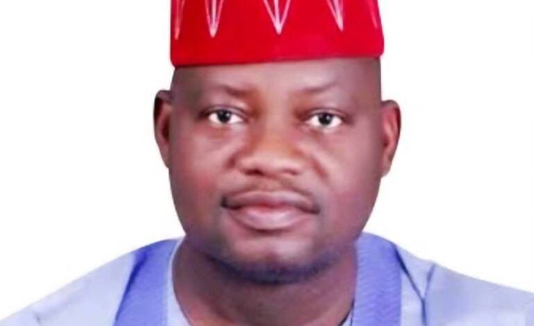 Power Sector Probe: New Reps C’ttee Offers Hope For Stable Electricity, Says Security Expert