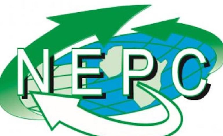 NEPC Secures N1bn WEIDE Grants For 128 Women-Owned Export Businesses