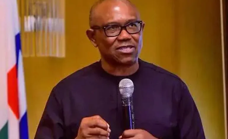 2027: I will change the North if elected president – Peter Obi