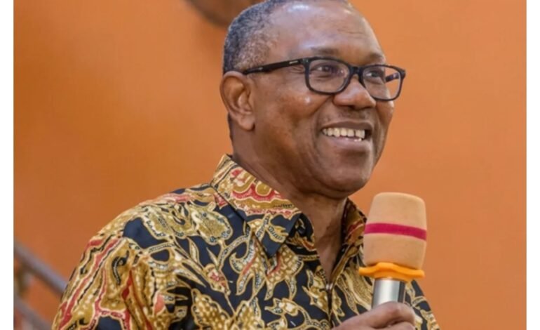 ‘How I will handle opposition as president’ – Peter Obi 