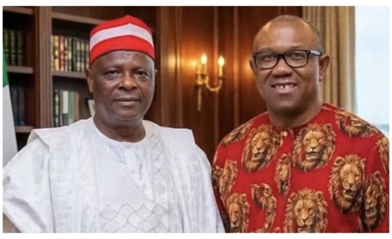 ‘Obi-Kwankwaso ticket stands little chance in 2027’ – Senator Hanga