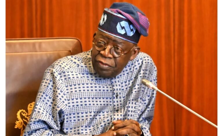 “Those crying wolf are afraid of their own shadows, not me” — Tinubu defends INEC ahead of 2027 