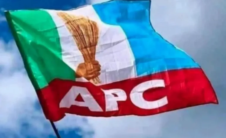 2027: APC may lose Kwara over primary election disagreements – G15 warns