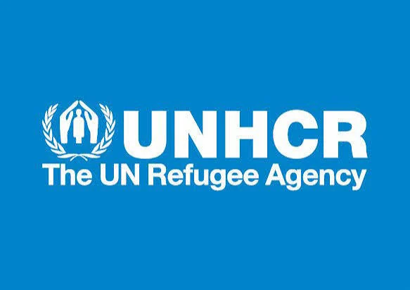 Lake Chad crisis nears dangerous tipping point, UNHCR warns
