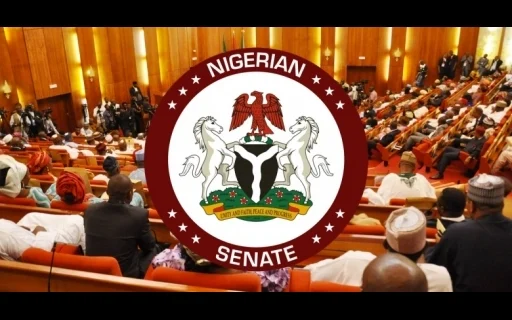 Why FCT is excluded from state police – Senate
