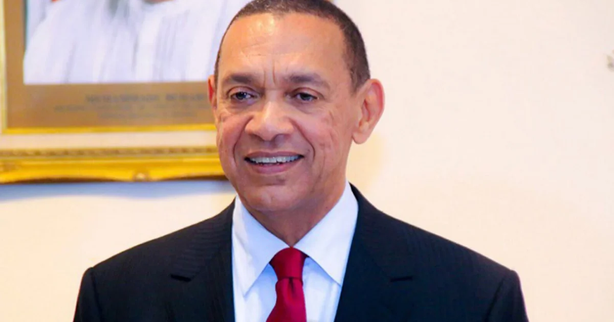 Murray-Bruce asks Tinubu to fix Nigeria’s refineries