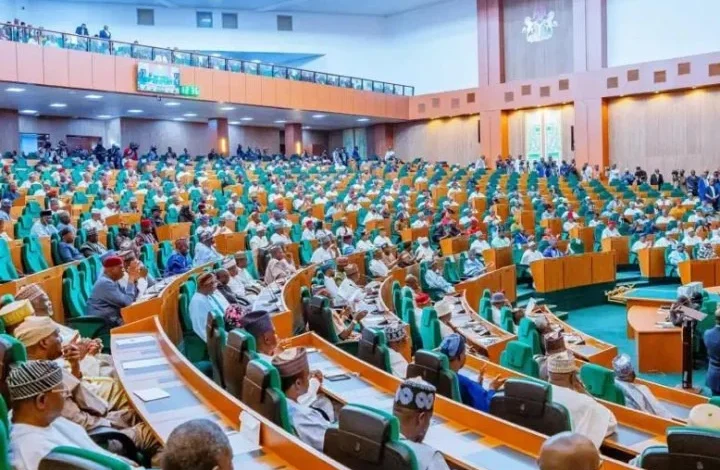 Fake agency probe: Reps to grill controversial DG at undisclosed location