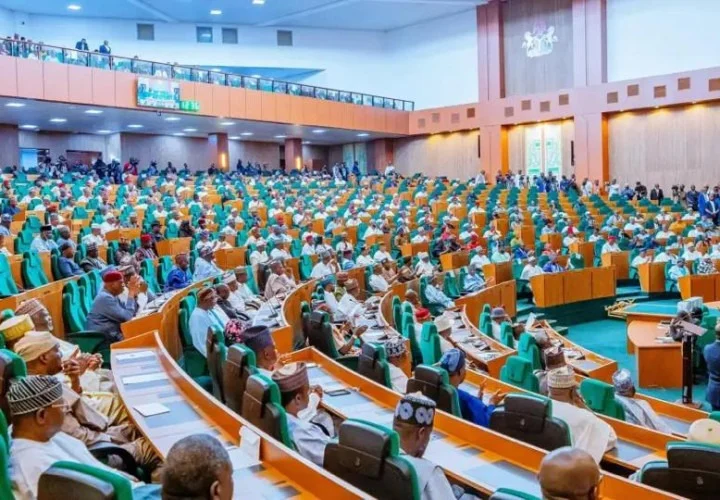 Fake agency probe: Reps to grill controversial DG at undisclosed location