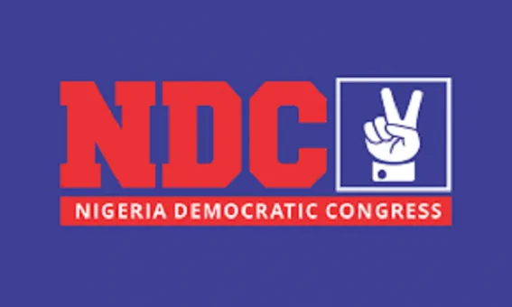 NDC should remove content creators posing as activists — Spokesperson