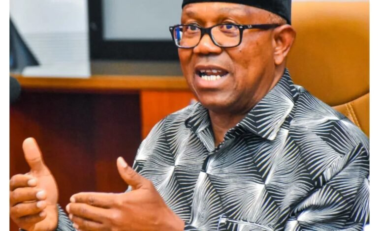 Excusing unverified certificates among politicians threatens Nigeria’s future – Peter Obi
