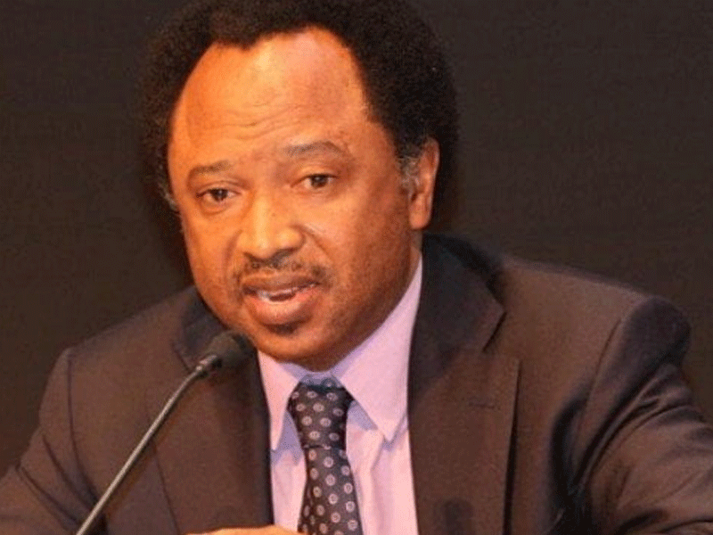 Adeleke-Tinubu Alliance Win-Win For Osun, Says Shehu Sani
