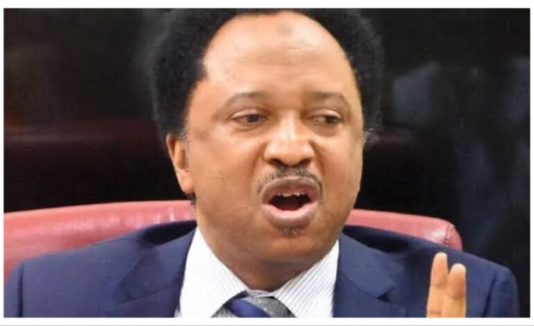 Atiku, Obasanjo’s fight will continue until one of them dies – Shehu Sani