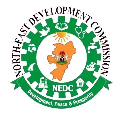 NEDC installs solar power systems in Adamawa LGs