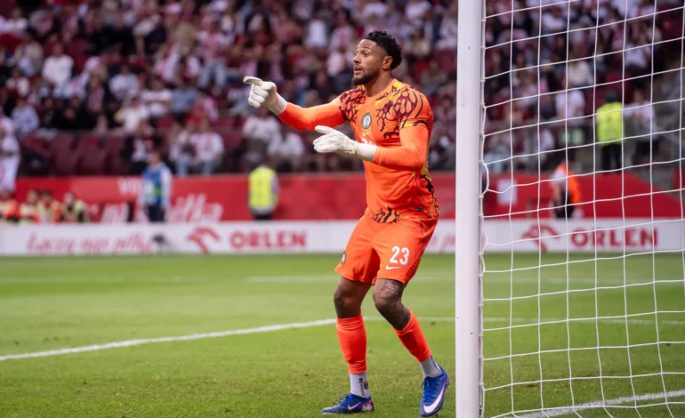 Okoye: I Want To Give Everything For Udinese