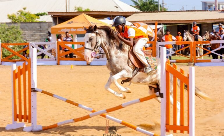FEI delegation set for four-day Nigeria visit over equestrian affiliation bid