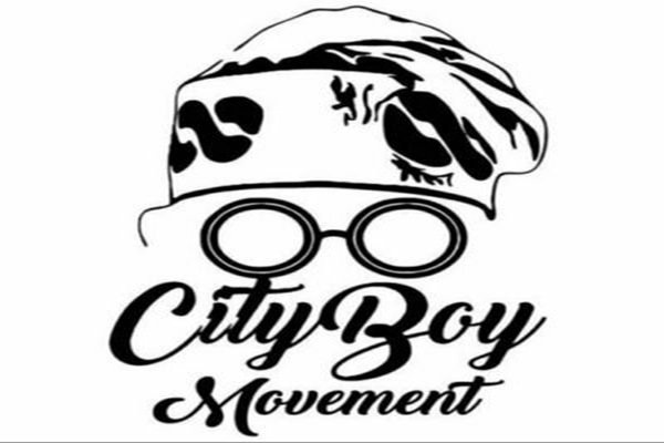 Adamawa State City Boys Movement, Trains Youths On Membership E-Registration