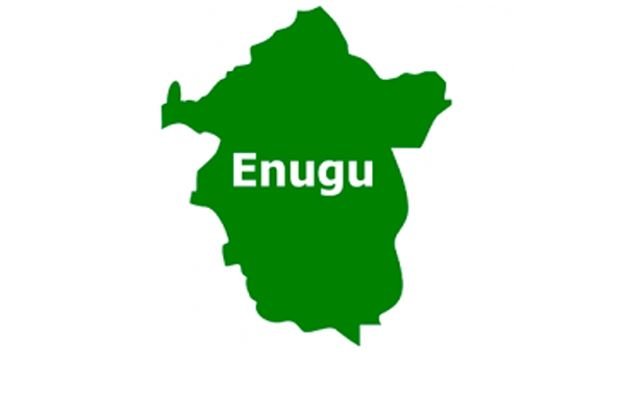 Coalition of Political Parties Hail Enugu Council Election As Free, Credible