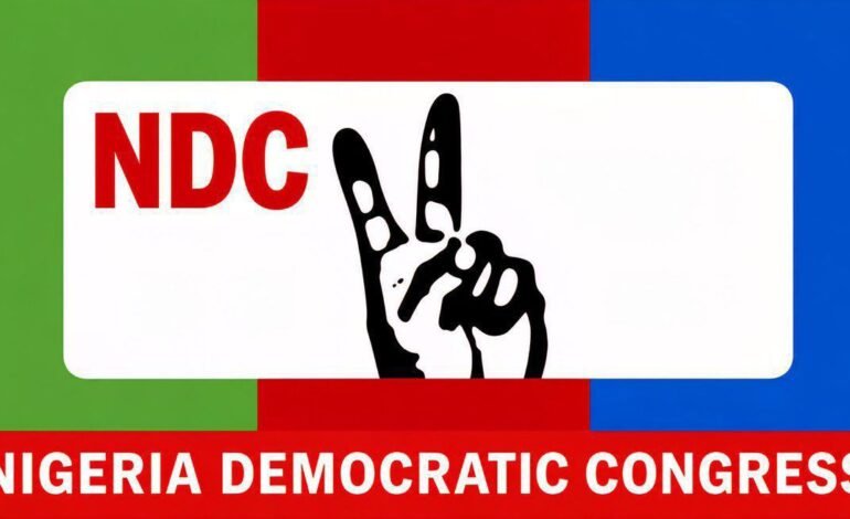 We Did Not Submit EC9E Forms For Published Anambra Candidates, NDC Queries INEC