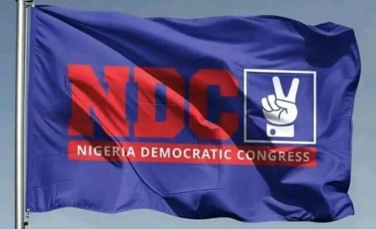 NDC raises concern over Enugu LG polls, commends peaceful process 