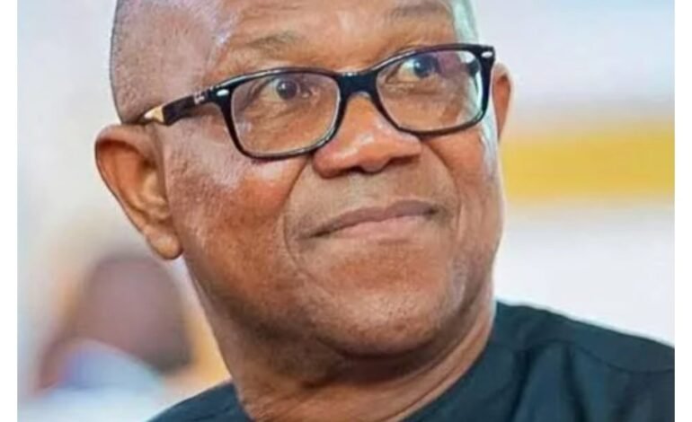 Your Anambra record is poor – Tinubu campaign council knocks Peter Obi