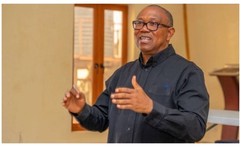 I will end 2027 campaign if anyone proves I collected money in US – Peter Obi