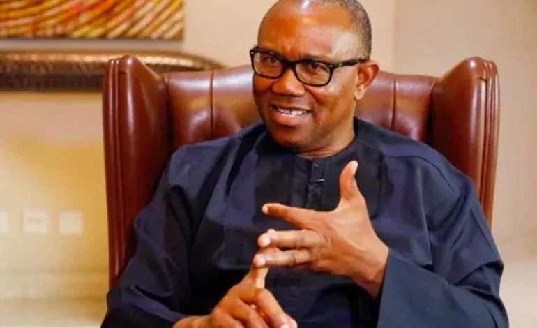 Benue denies deploying thugs against Peter Obi