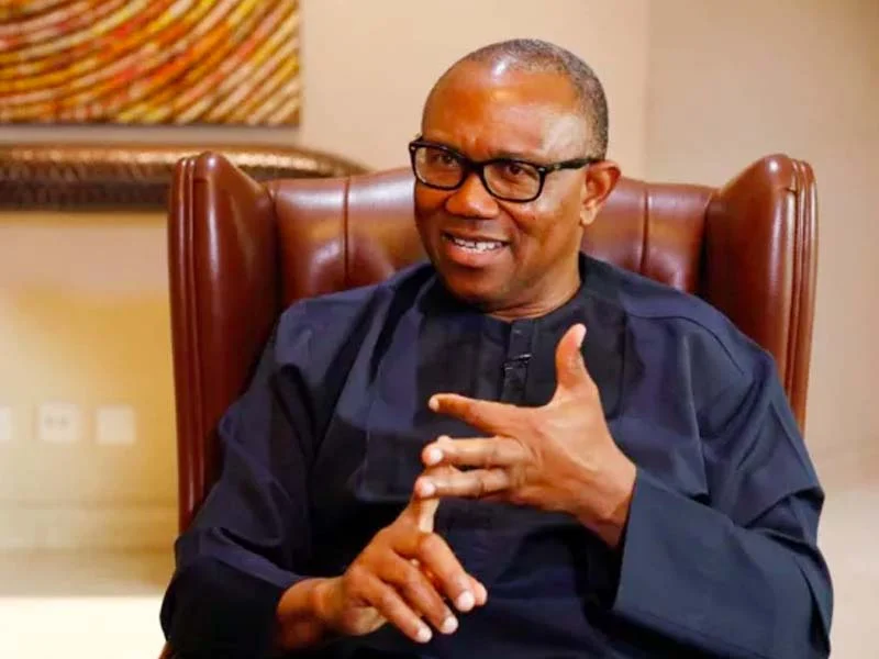 Benue denies deploying thugs against Peter Obi