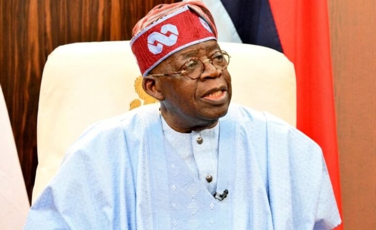 2027: US Govt rejected Tinubu’s lobby for endorsement – Firm
