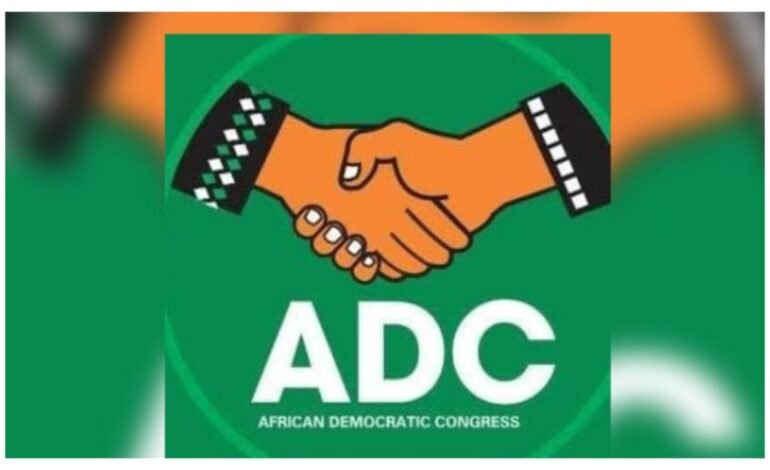 APC walk for Yari poorly timed amid Zamfara insecurity – ADC