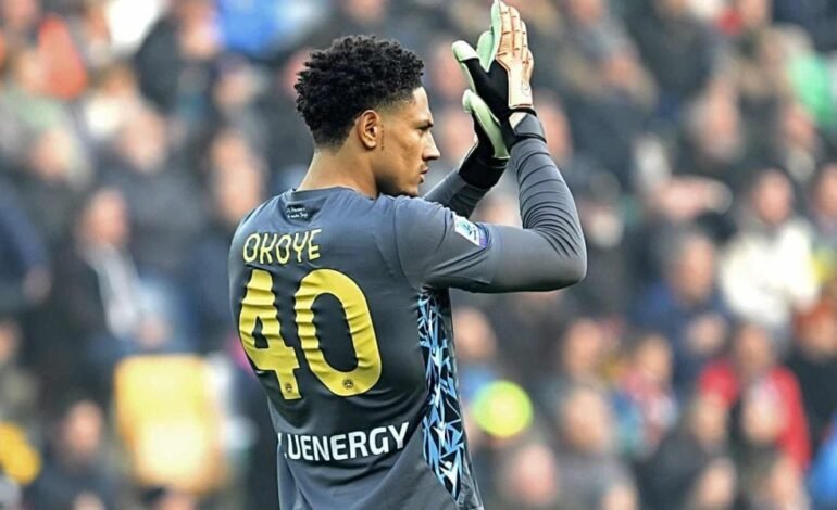 Serie A:Okoye reflects on Udinese’s defeat against Inter Milan