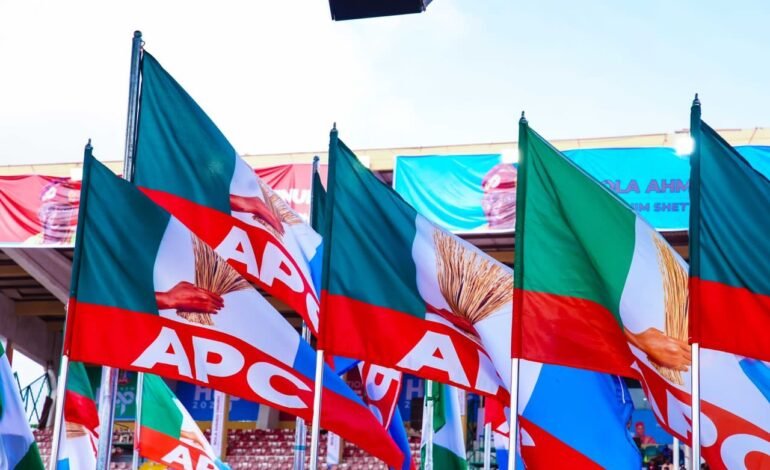 2027: Stop Deceiving Nigerians With Lies, APC Youth Vanguard Tells ADC