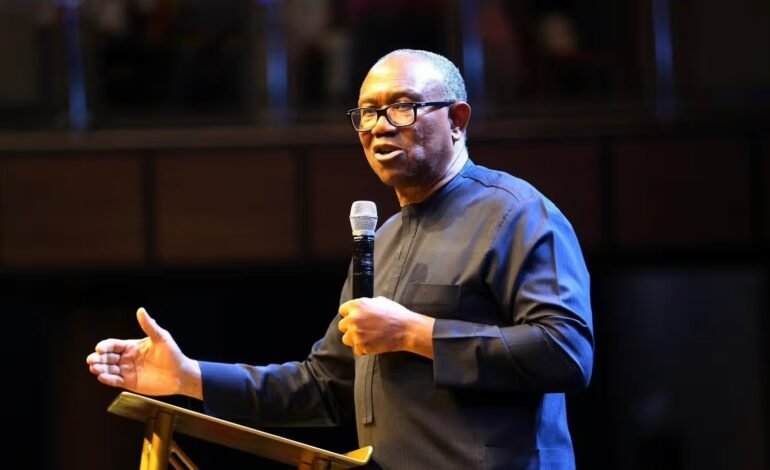Nigeria doesn't need Tinubu that runs away during problems, we want revolution – Peter Obi