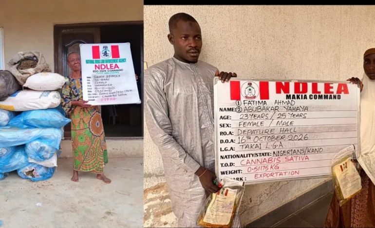 NDLEA intercepts Saudi-bound cannabis in palm oil keg, ₦6.98bn tramadol