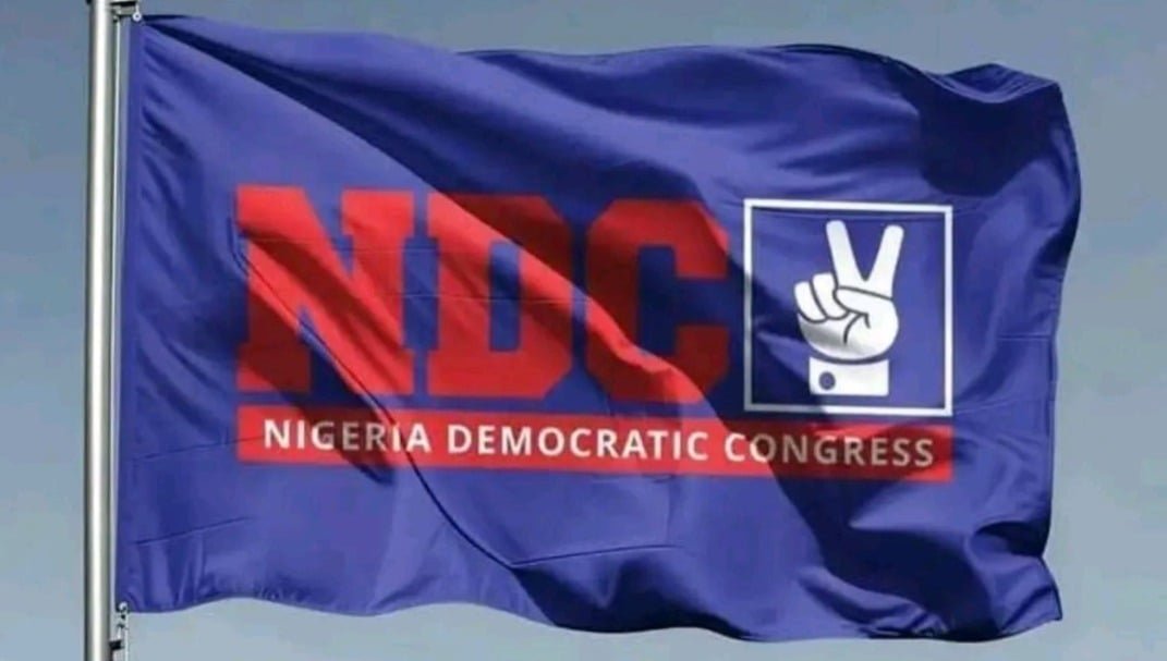 Peter Obi: NDC withdraws recognition of diaspora chapters, gives reason